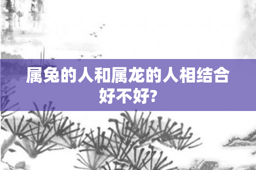 属兔的人和属龙的人相结合好不好?