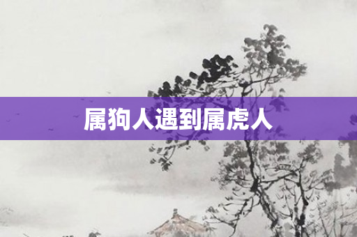属狗人遇到属虎人