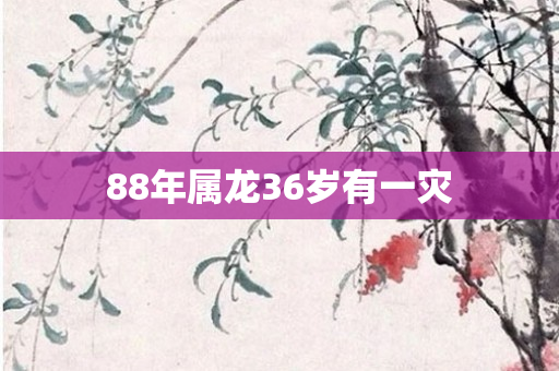 88年属龙36岁有一灾