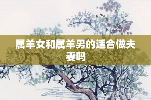 属羊女和属羊男的适合做夫妻吗