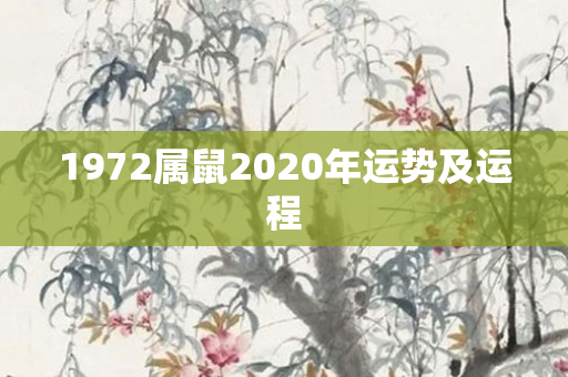 1972属鼠2020年运势及运程