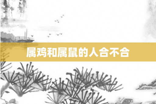 属鸡和属鼠的人合不合