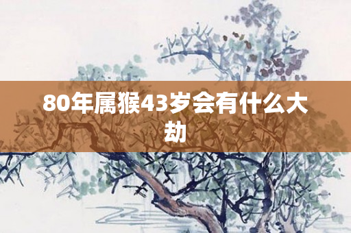 80年属猴43岁会有什么大劫