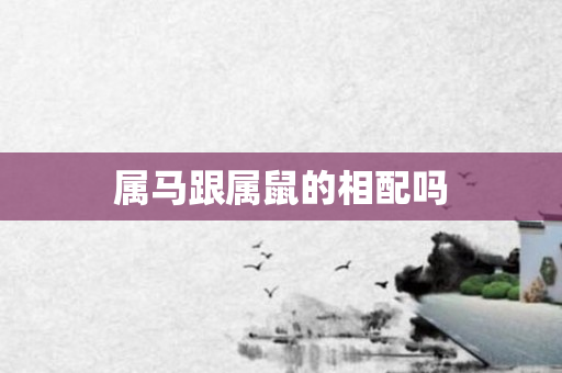 属马跟属鼠的相配吗