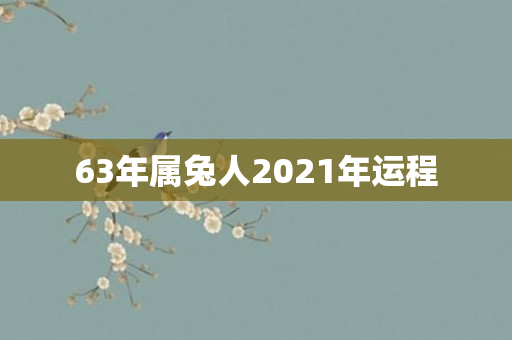 63年属兔人2021年运程