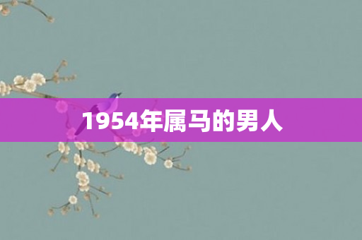 1954年属马的男人