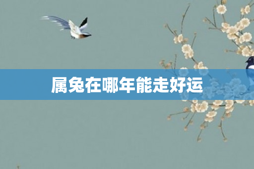 属兔在哪年能走好运