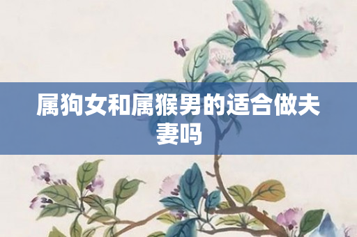 属狗女和属猴男的适合做夫妻吗