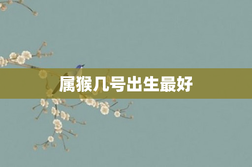 属猴几号出生更好