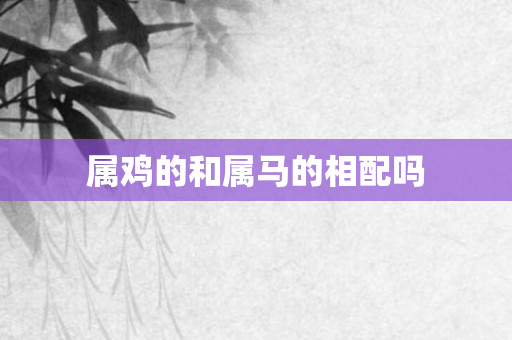 属鸡的和属马的相配吗