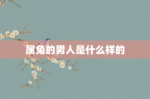 属兔的男人是什么样的