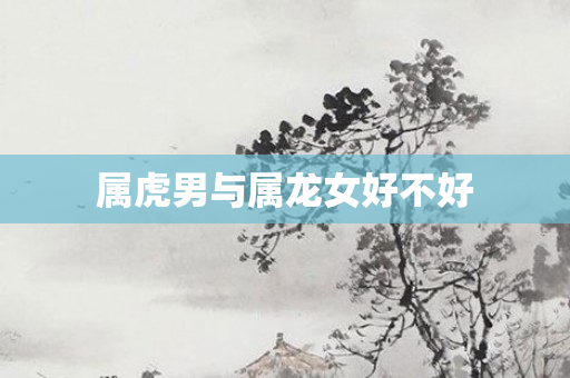属虎男与属龙女好不好