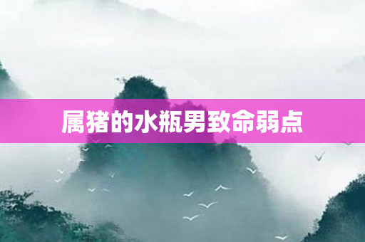 属猪的水瓶男致命弱点