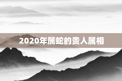 2020年属蛇的贵人属相