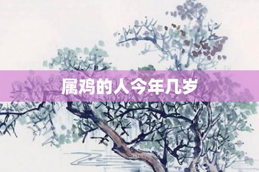 属鸡的人今年几岁