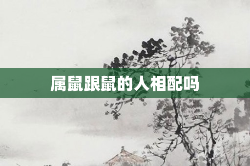 属鼠跟鼠的人相配吗
