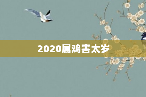 2020属鸡害太岁