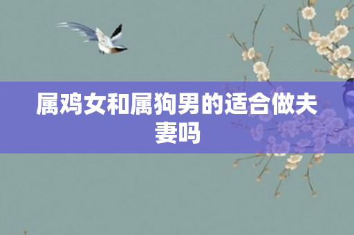 属鸡女和属狗男的适合做夫妻吗