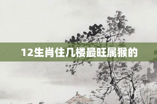 12生肖住几楼最旺属猴的