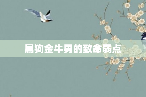 属狗金牛男的致命弱点