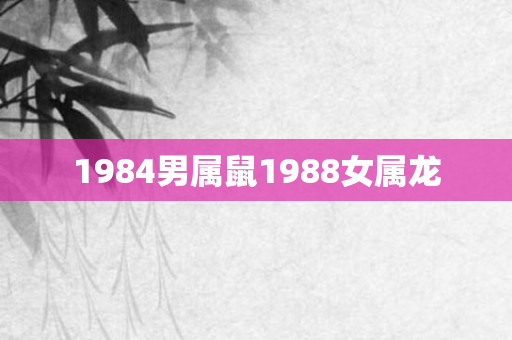 1984男属鼠1988女属龙