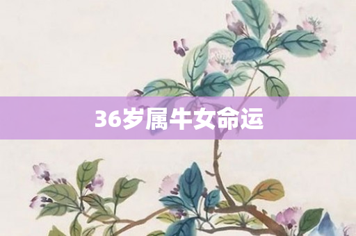 36岁属牛女命运