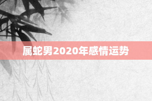 属蛇男2020年感情运势
