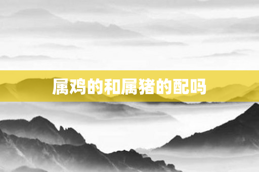 属鸡的和属猪的配吗