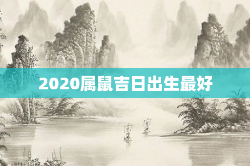 2020属鼠吉日出生更好