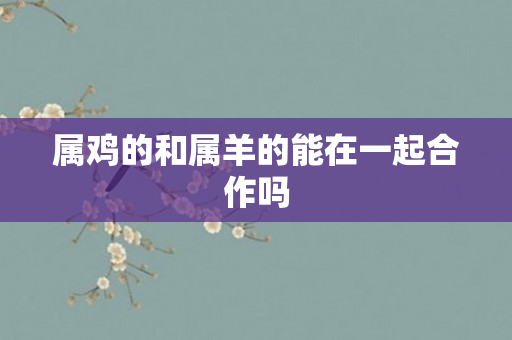 属鸡的和属羊的能在一起合作吗