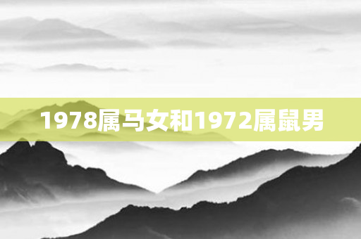 1978属马女和1972属鼠男