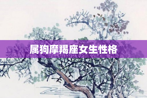 属狗摩羯座女生性格
