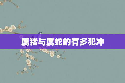 属猪与属蛇的有多犯冲