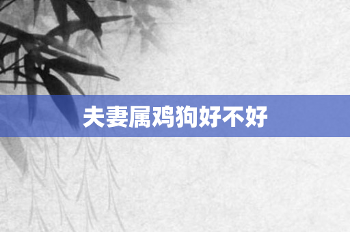 夫妻属鸡狗好不好