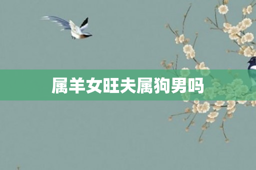 属羊女旺夫属狗男吗
