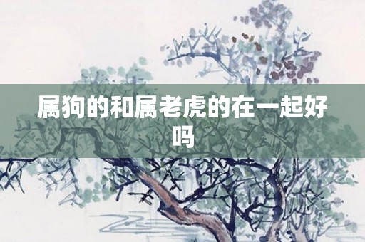 属狗的和属老虎的在一起好吗