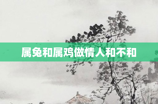 属兔和属鸡做情人和不和