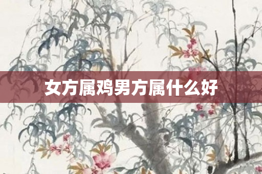 女方属鸡男方属什么好