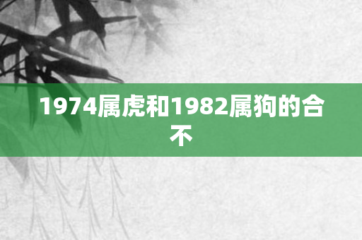 1974属虎和1982属狗的合不