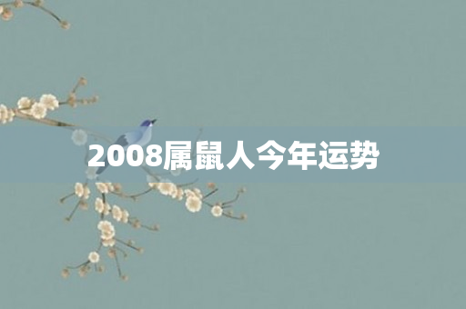 2008属鼠人今年运势