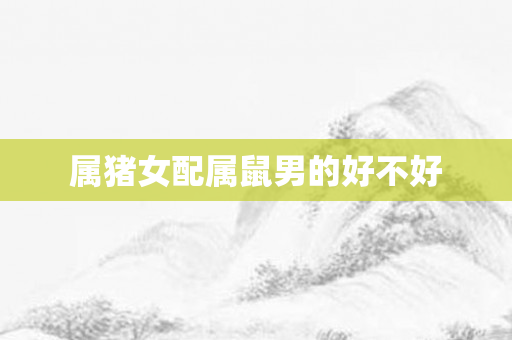 属猪女配属鼠男的好不好