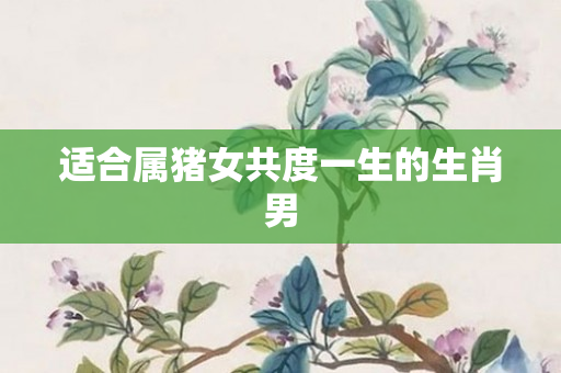 适合属猪女共度一生的生肖男