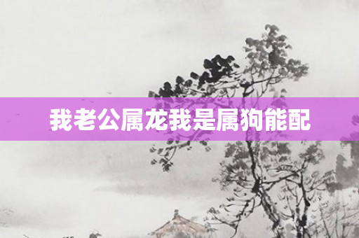 我老公属龙我是属狗能配