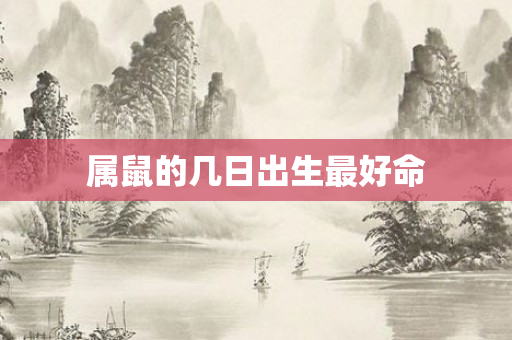 属鼠的几日出生更好命