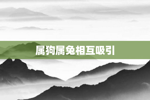 属狗属兔相互吸引