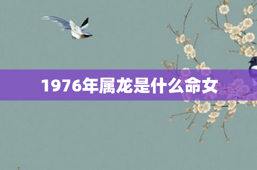 1976年属龙是什么命女