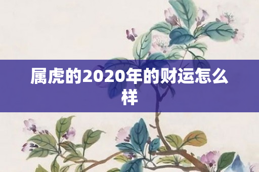 属虎的2020年的财运怎么样