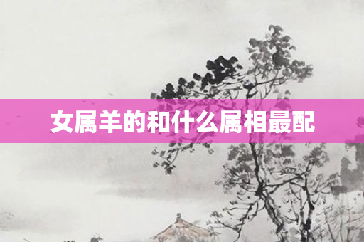 女属羊的和什么属相最配