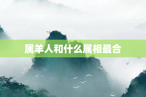 属羊人和什么属相最合