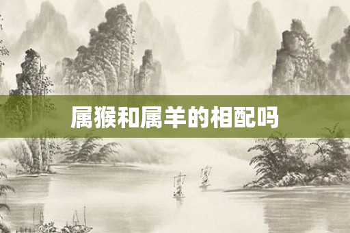 属猴和属羊的相配吗